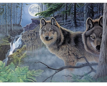 Adult Painting By Numbers Kit - Mystical Moonlight