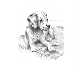 Sketching Made Easy Kit - Dalmatian Pup