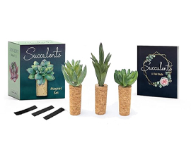 Succulents Magnet Set
