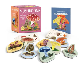 Mushrooms: A Wooden Magnet Set