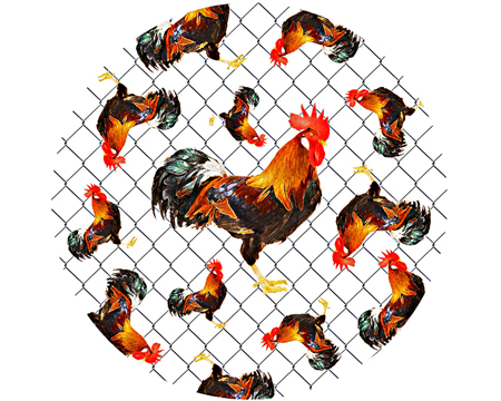 Jar Opener - Chicken Wire