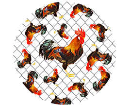 Jar Opener - Chicken Wire