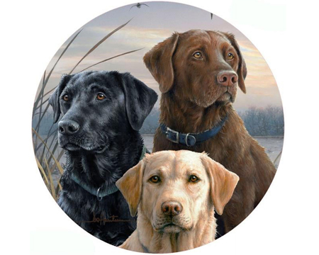 Jar Opener - Proud Labs