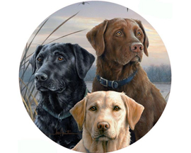 Jar Opener - Proud Labs