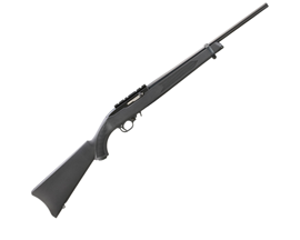 Ruger 10/22 Carbine 22LR Rifle