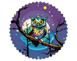 Spinfinity Designs Wind Spinner- Vivid 12" Owl