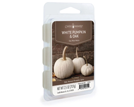 Candle Warmers® White Pumpkin Oak Wax Melts