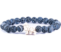 Fahlo Animal Tracking Bracelets