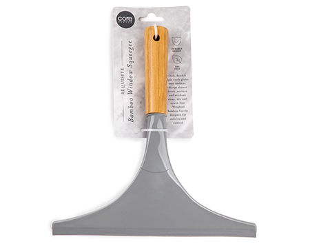 Window Squeegee With Handle