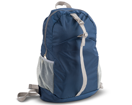 Foldable Backpack 