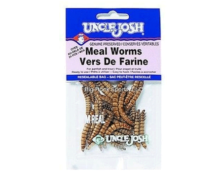 Uncle Josh® Meal Worms