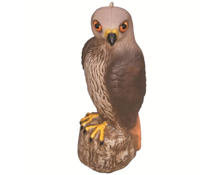 Bond Hawk Decoy