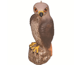Bond Hawk Decoy