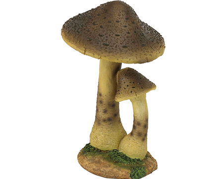 Tan Mushrooms Statue