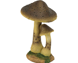 Tan Mushrooms Statue