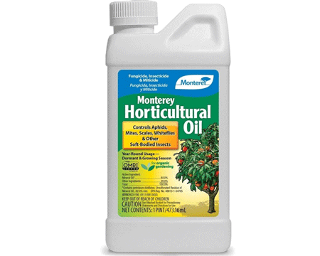 Horticultural Oil 16 oz