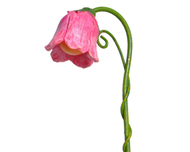 Fairy Flower Street Lamp