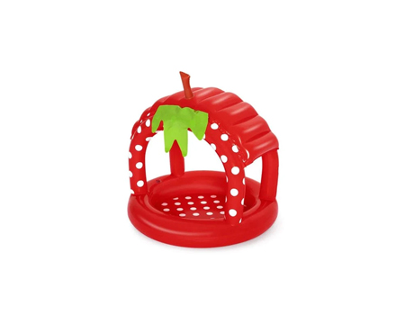 Inflatable Pool for Infants