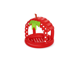 Inflatable Pool for Infants