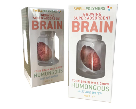 Extra Large Swell Polymer Brain