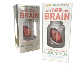 Extra Large Swell Polymer Brain