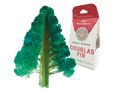 Crystal Growing Douglas Fir