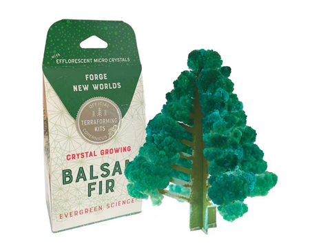 Crystal Growing Balsam Fir