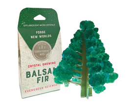 Crystal Growing Balsam Fir