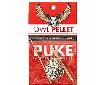 Owl Pellet: What did this owl eat?
