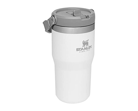 Stanley® Ice Flow 20 oz. Quick Flip Go Bottle - Polar