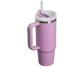 Stanley® The Quencher 30 oz. H2.0 Flowstate Tumbler - Lilac