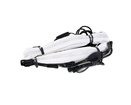 CLAM® Aurora LED Light Starter Kit