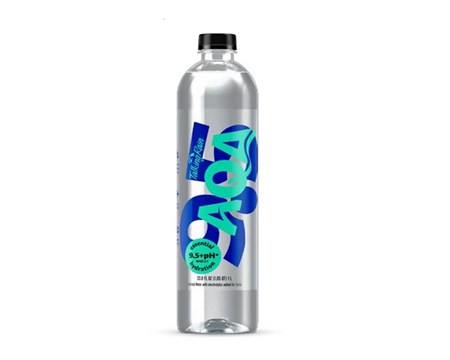 Talking Rain AQA Bottled Water 1 ltr 12 pack