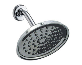 Waterpik® Rainfall Single Spray Setting Shower Head - RSD-133