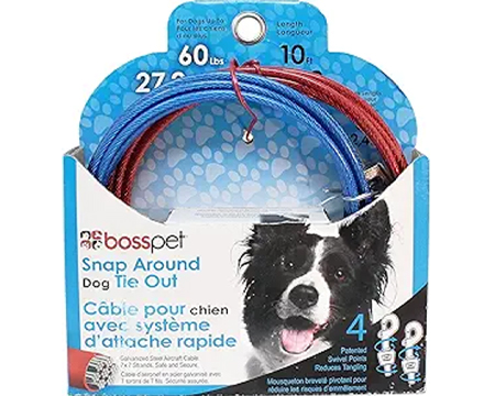 PDQ Dog Tie-Out - Large 10 ft Lead