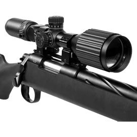 Scopes & Mounts 