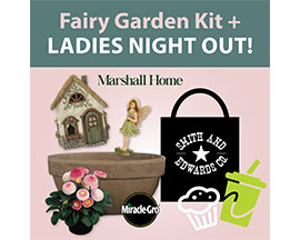 Ladies Night Out: Event Ticket & Fairy Garden Starter Kit