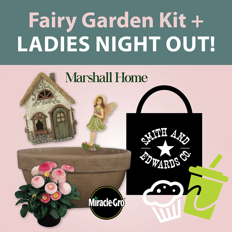 Ladies Night Out: Event Ticket & Fairy Garden Starter Kit