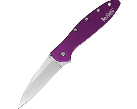 Kershaw® Leek Folding Knife 