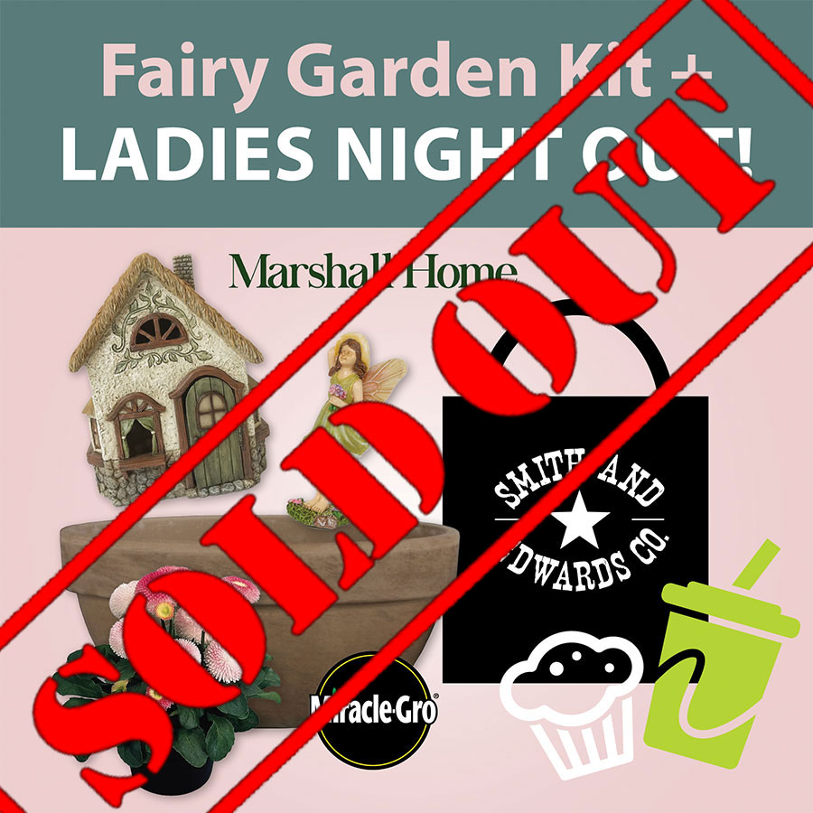 Ladies Night Out: Event Ticket & Fairy Garden Starter Kit