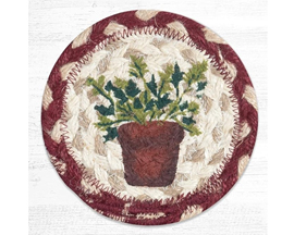 Braided Coaster - Parsley