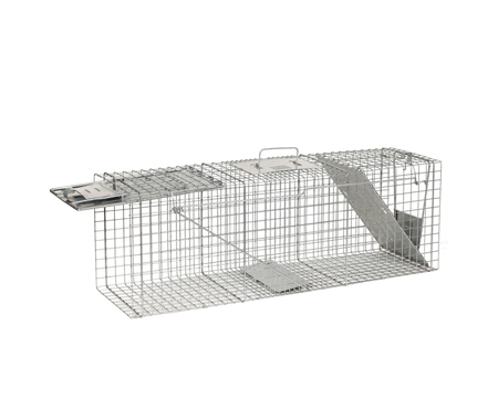 Havahart® 36 in. 2-Door Galvanized Steel Large Animal Trap
