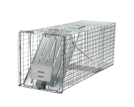 Havahart® 32 in. Galvanized Steel Large Live Animal Trap