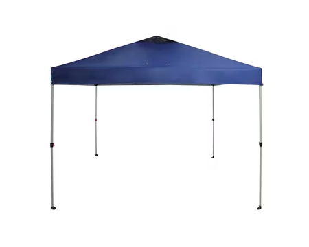 Canopy - Navy Blue 10 x 10