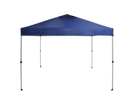 Canopy - Navy Blue 10 x 10