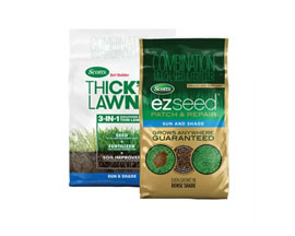 Grass Seed