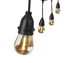 Feit® 24 Ft. 12 Lights LED String Lights w/ Remote Control - White