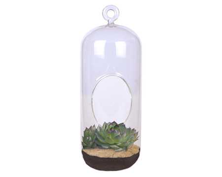 Unique Gardener® Carefree Capsule Clear Glass Hanging Terrarium Seed Starter Kit