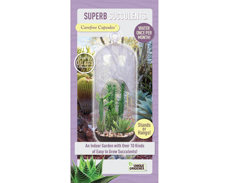 Unique Gardener® Superb Succulents Easy-To-Grow Terrarium Kit