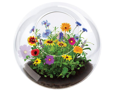 Unique Gardener® Wildflower Blooms Terrarium 